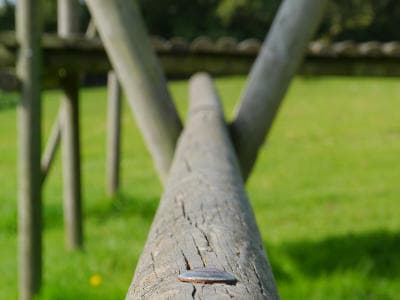 Natural play area on a large expanse of grass